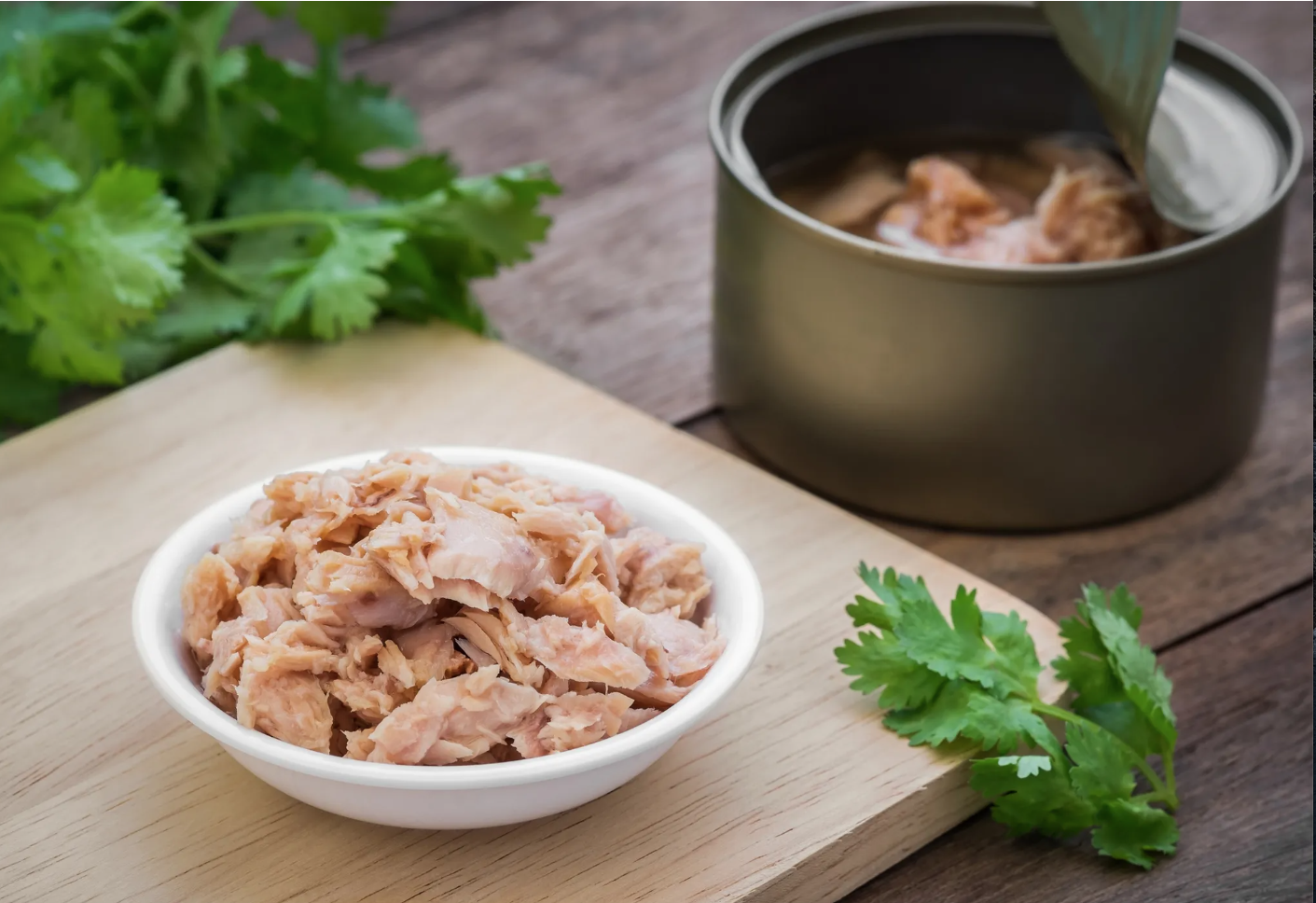 Ensalada con atún y 4 laminas de pan wasa